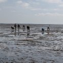 2014 Ile de Noirmoutiers (164)